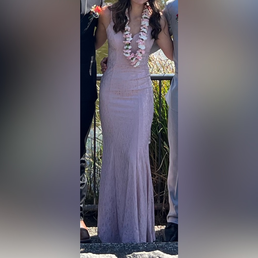 David’s bridal prom dress